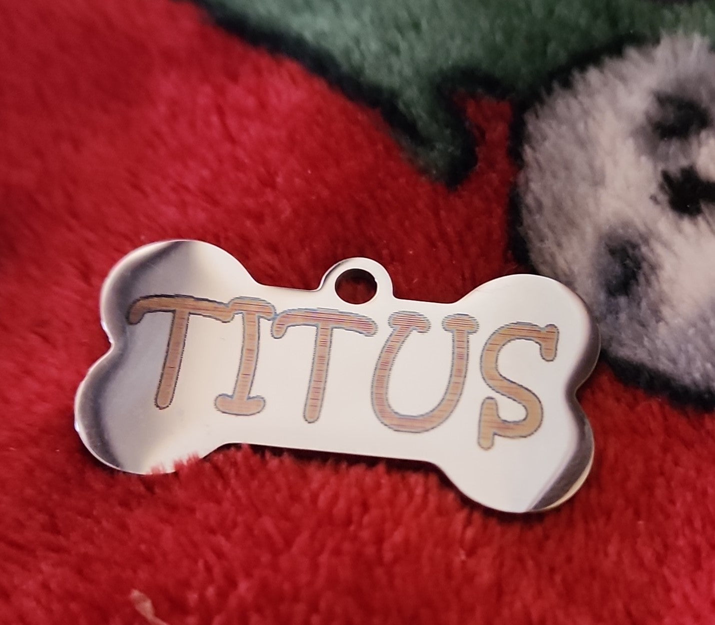 Etiqueta de identificación personalizada de acero inoxidable, perro (en forma de hueso)